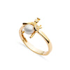 APINA ring